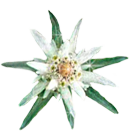 Благотворительный фонд "Поможем детям вместе"